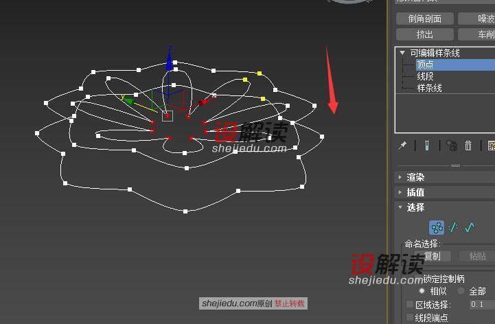 样条线创建精致的花瓣10